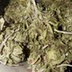 Nota Cordoba