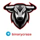 Binary Craze