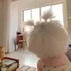 马尼拉狗仔群