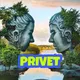 @viet.privet