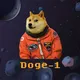 Doge-1 @BSC