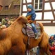 Зеркальце Эжена. Экскурсии по Мюнхену, Германии и Европе.