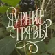 Дурные травы