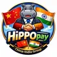 （HiPPOpay ）China-India Cooperation Group