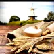 Kazakhstan wheat flour