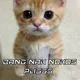 JUAL NOKOS/BOT TELEGRAM INDONESIA