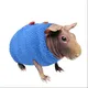 ✧.* guinea pigs daily [🐹🥒]