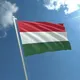 Русские в Венгрии. Чат.
