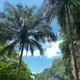 ПХУКЕТ #1 🇹🇭 Thailand
