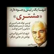تونستی ببین ولی نخر😄😄