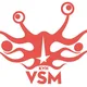 Kerk van het VSM