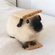 Guinea Pigs // Морские Свинки