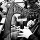 🎻 Novi Sad Irish Music Session [NS Trad Sessions News]