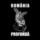 Grupul România Profundă
