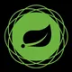 Java Spring framework Developers