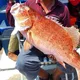 GENG TRIP MANCING BOTTOM