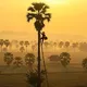 缅甸风景【聊天群】မြန်မာရှုခင်း