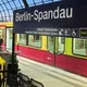 spandau X