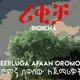 ሪቂቻ/Riqicha Afaan Oromoo grammar for beginners/ኦሮምኛ ሰዋስው ለጀማሪወች