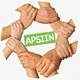 APSIIN CHILE CANAL