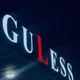 GULESS_sarpo