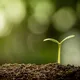 Soil Science Learning
