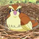 Pokemon GO Nests Kyiv
