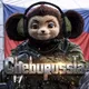 Cheburussia 🇷🇺