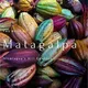 Matagalpa - the hidden gem of Nicaragua
