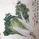 成都外围出师表
