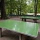 🏓 Теніс Мюнхен