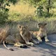 СветаВокруг в ЮАР 🇿🇦