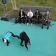 Capoeira Angola Russia
