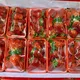 Hoa Quả Bắc Việt - Sihanouk