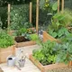 Self Sustainable Living South Africa