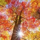 Хайрли тонг -Куз! 🍁🍂