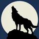 Black Werewolf Türkiye