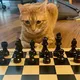 Chess & Chill Myanmar