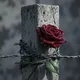 ده مـــیــــنــــے کـــور