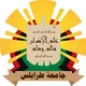 القناة التعليمية لقسم طب الباطنة بكلية الطب البشري- جامعة طرابلس