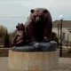 Медведица(Франк)