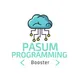 PASUM Programming Booster
