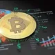 BRAZILIAN CRYPTOL AND BITCOINS Mining Company