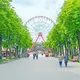 Харьков в Германии 💛🩵 in 💛❤️🖤