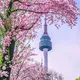 Korea doramalar🤩🤩olami😊