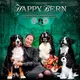 Питомник бернских Зенненхундов и Кавалер кинг Чарльз спаниелей "Happy Bern"
