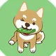 $DCH: DogeCoinCash 🐕💰