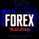 FOREX BULLDROP