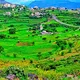 جمال الطبيعة من اليمن السعيد⁦🇾🇪⁩