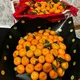 Mandarin buket🍊Xiva💐